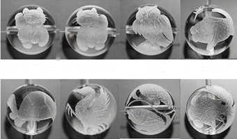 招き猫、ふくろ、鯉、亀、鶴などの彫刻ビーズ